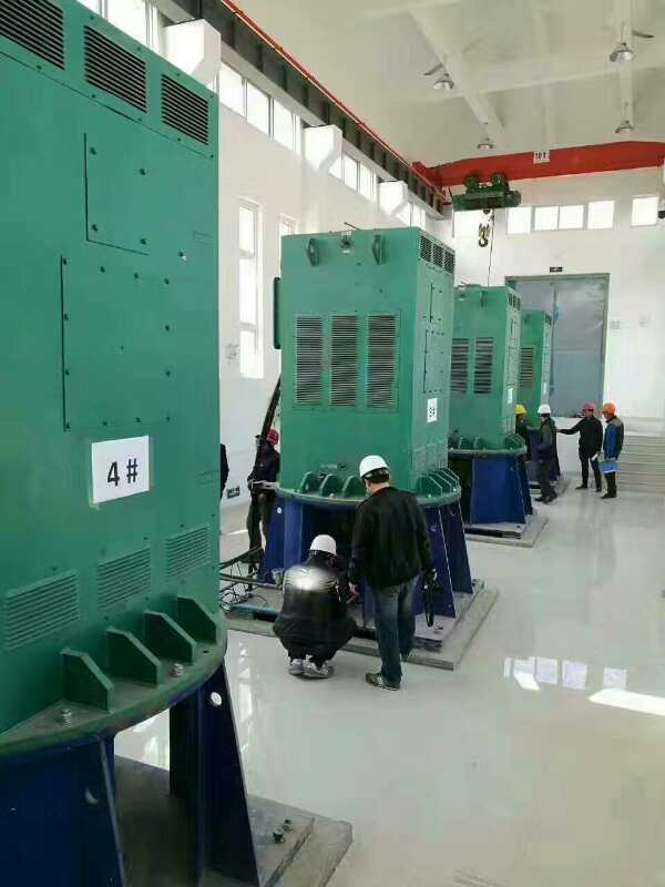 凤城某污水处理厂使用我厂的立式高压电机安装现场